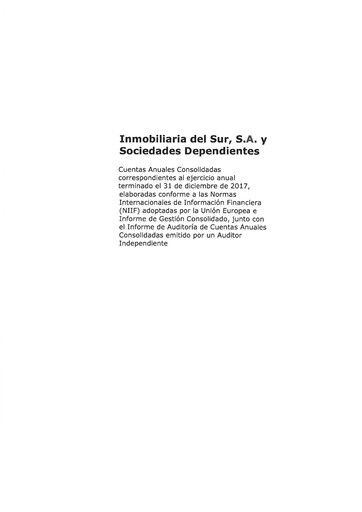 Thumbnail Inmobiliaria del Sur Financial Statement 2017