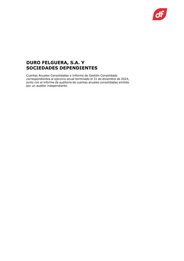 Thumbnail Duro Felguera Financial Statement 2024