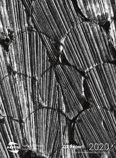 Miniature Hammond Power Solutions Rapport trimestriel 2020-q2