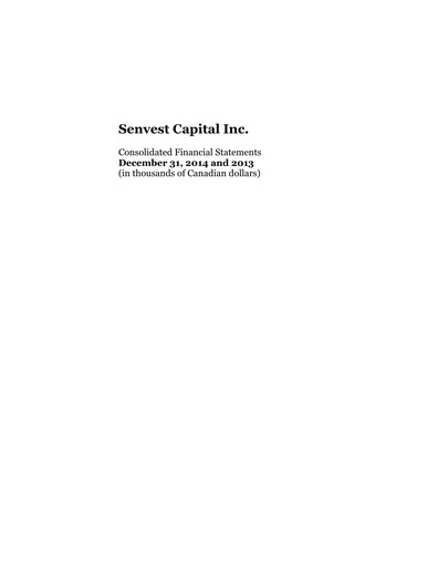 Thumbnail Senvest Capital Financial Statement 2014