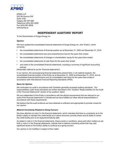 Thumbnail Surge Energy Financial Statement 2020