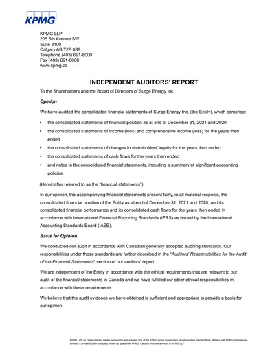 Thumbnail Surge Energy Financial Statement 2021