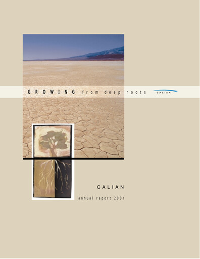 Thumbnail Calian Group Annual Report 2001