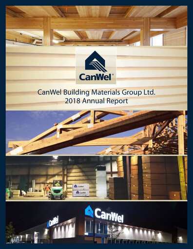 Miniature Doman Building Materials Group Rapport annuel 2018