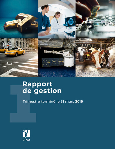 Vorschaubild 5N Plus Finanzbericht 2019-q1