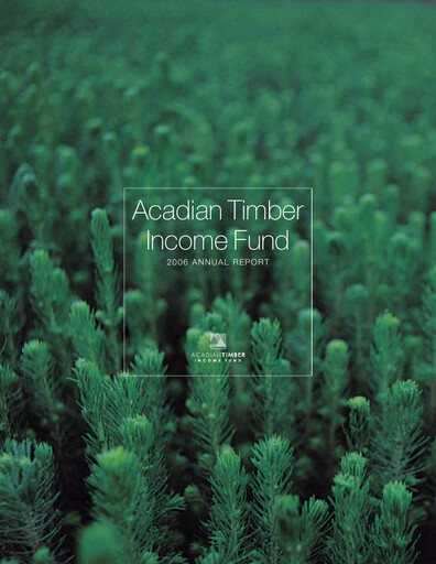 Thumbnail Acadian Timber Annual Report 2006