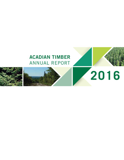 Thumbnail Acadian Timber Annual Report 2016
