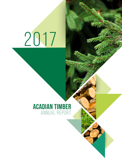 Thumbnail Acadian Timber Annual Report 2017