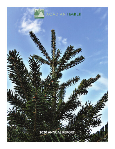Thumbnail Acadian Timber Annual Report 2020