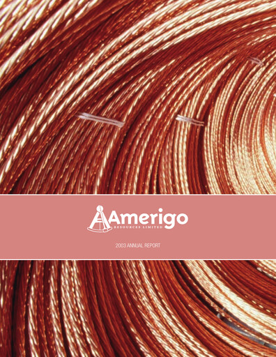 Thumbnail Amerigo Resources Annual Report 2003