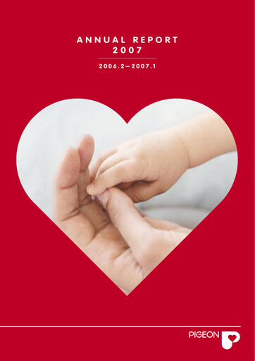 Vorschaubild Pigeon Jahresbericht 2007