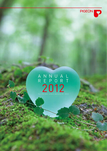 Vorschaubild Pigeon Jahresbericht 2012