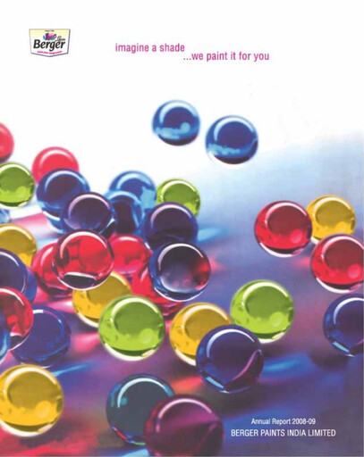 Miniature Berger Paints
 Rapport annuel 2008-2009
