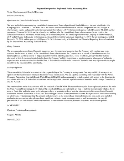 Thumbnail SNDL Inc.
 Financial Statement 2019