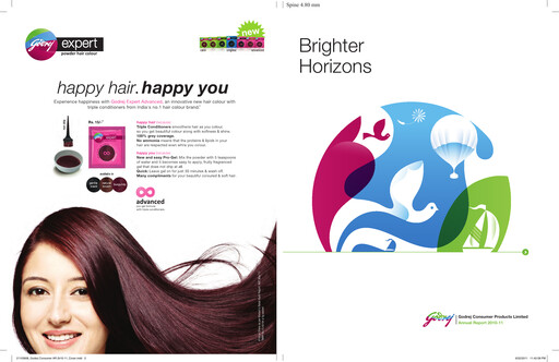 Thumbnail Godrej Annual Report 2010-2011