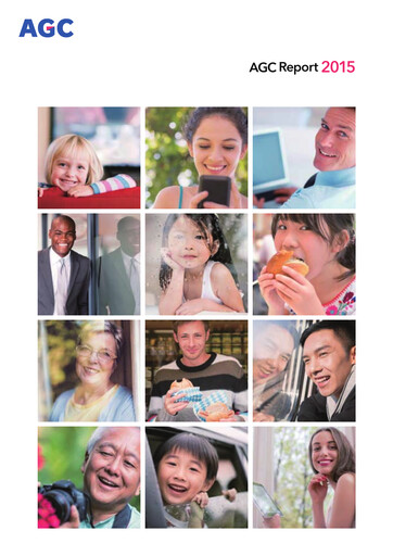 Vorschaubild AGC Jahresbericht 2015
