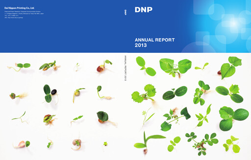 Miniature Dai Nippon Printing Rapport annuel 2013