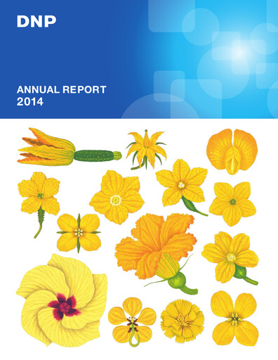 Miniature Dai Nippon Printing Rapport annuel 2014