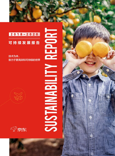 Miniature Jingdong Mall Rapport de durabilité 2018-2020