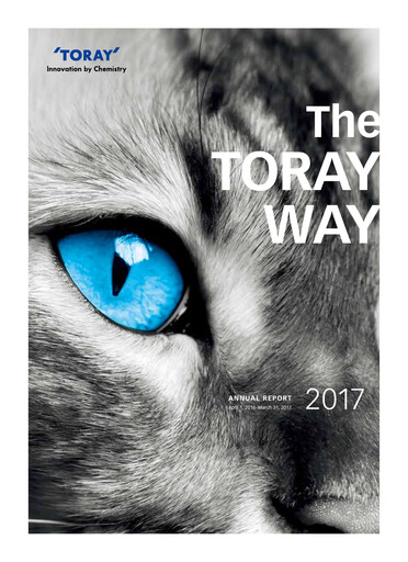 Thumbnail Toray Industries
 Annual Report fy2017