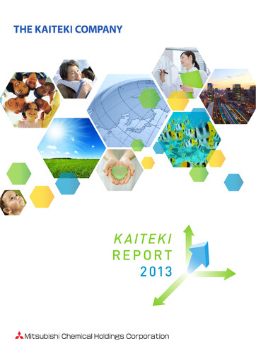 Vorschaubild Mitsubishi Chemical Holdings
 Jahresbericht 2013