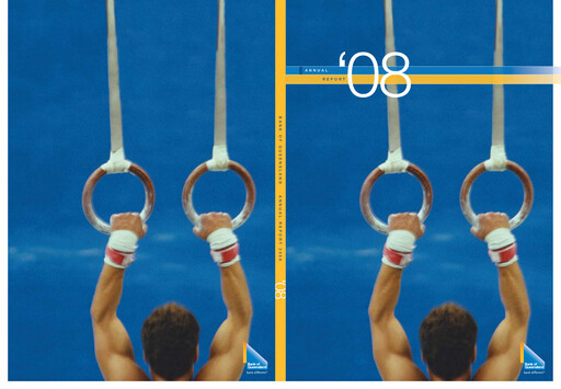 Vorschaubild Bank of Queensland Jahresbericht 2008