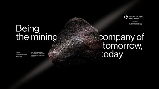 Miniature Champion Iron Rapport de durabilité 2019