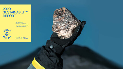 Miniature Champion Iron Rapport de durabilité 2020