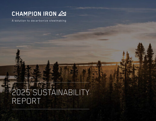 Miniature Champion Iron Rapport de durabilité 2025