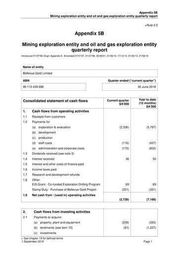Thumbnail Bellevue Gold Quarterly Report 2018-q4