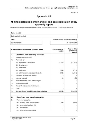 Thumbnail Bellevue Gold Quarterly Report 2019-q3