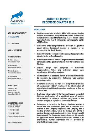 Thumbnail Capricorn Metals Quarterly Report 2018-2019-q2