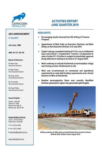 Thumbnail Capricorn Metals Quarterly Report 2018-2019-q4