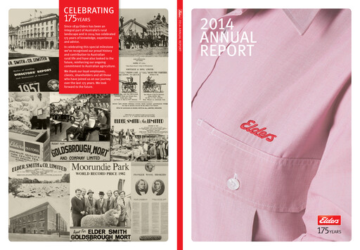 Miniature Elders Limited Rapport annuel 2014