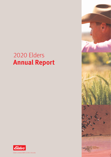 Miniature Elders Limited Rapport annuel 2020