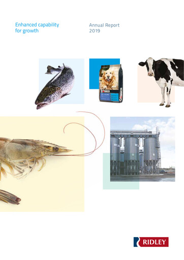 Thumbnail Hansen Technologies Annual Report 2019