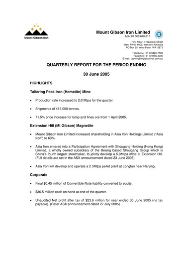 Vorschaubild Mount Gibson Iron Quartalsbericht 2005-q4