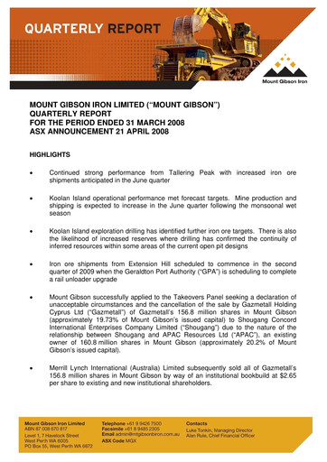 Vorschaubild Mount Gibson Iron Quartalsbericht 2008-q3