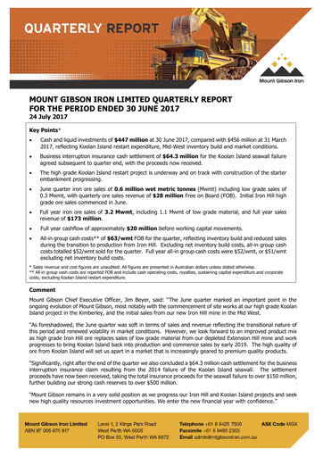 Vorschaubild Mount Gibson Iron Quartalsbericht 2017-q4