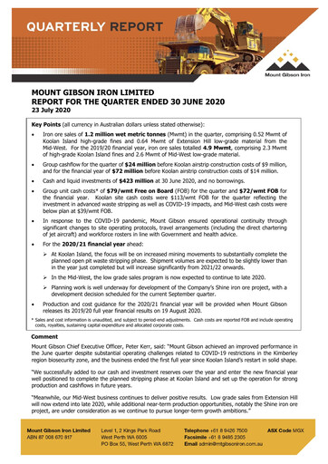 Vorschaubild Mount Gibson Iron Quartalsbericht 2020-q4