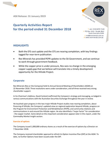 Vorschaubild Rex Minerals Quartalsbericht 2018-q4