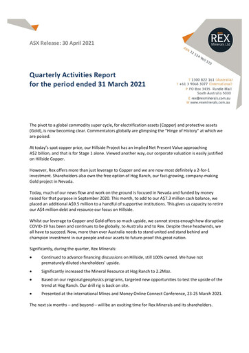 Vorschaubild Rex Minerals Quartalsbericht 2021-q1