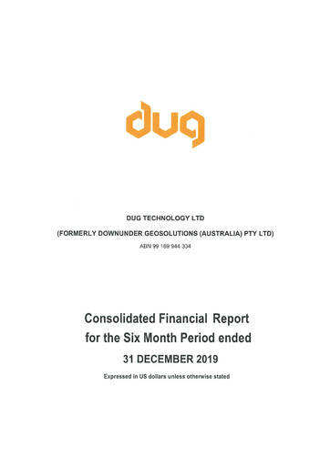 Thumbnail DUG Technology Financial Report 2020-h1