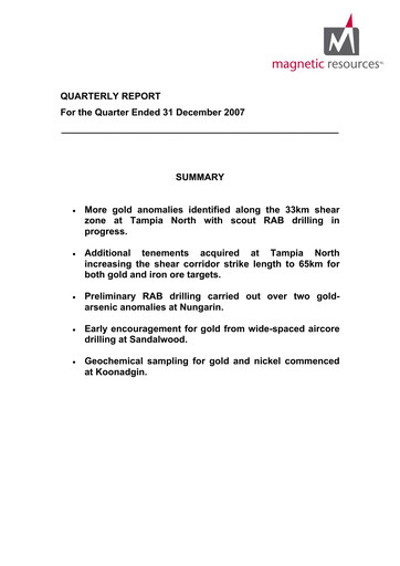 Thumbnail Magnetic Resources NL Quarterly Report 2007-q4