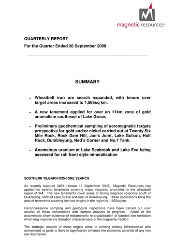 Thumbnail Magnetic Resources NL Quarterly Report 2008-q3