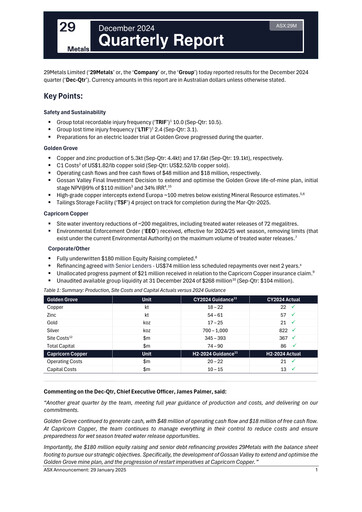 Thumbnail 29Metals Quarterly Report 2024-q4