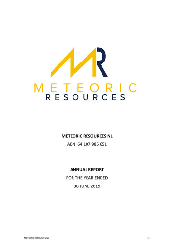 Thumbnail Meteoric Resources Annual Report 2019