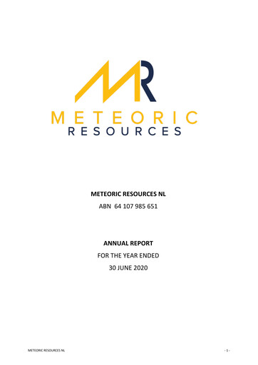 Thumbnail Meteoric Resources Annual Report 2020