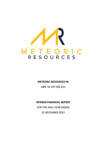 Thumbnail Meteoric Resources Half-year Report 2022