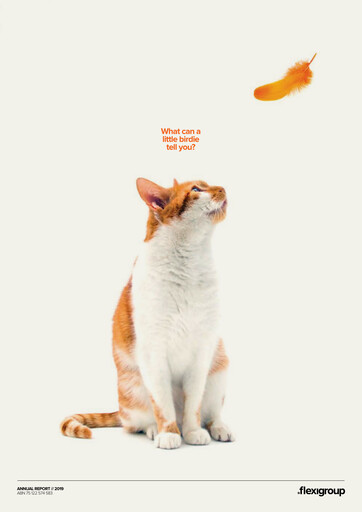 Miniature Humm Group Rapport annuel 2019